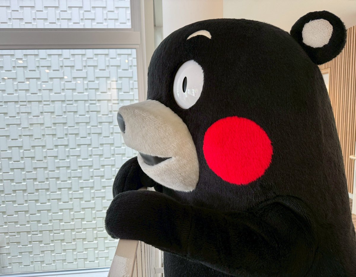 くまモン【公式】 tweet media