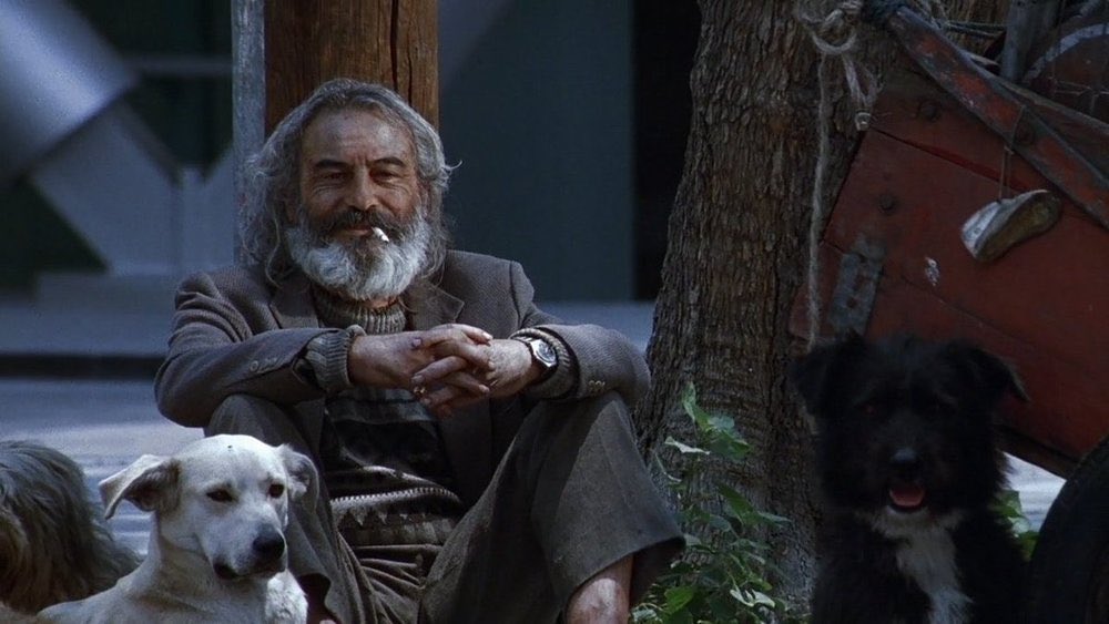 My favorite directorial debuts
