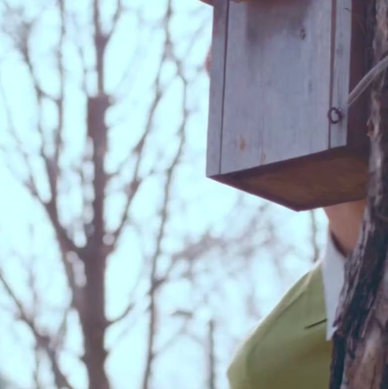 IYA #1 fan tweet media