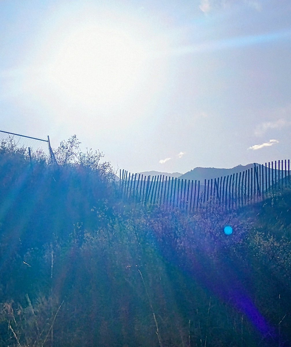 Karen Cochran tweet media