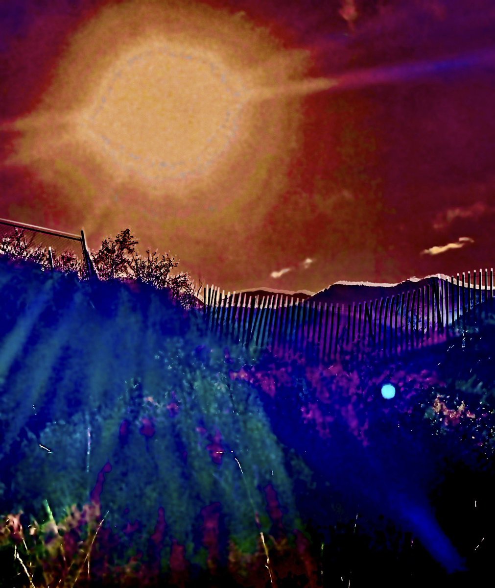 Karen Cochran tweet media