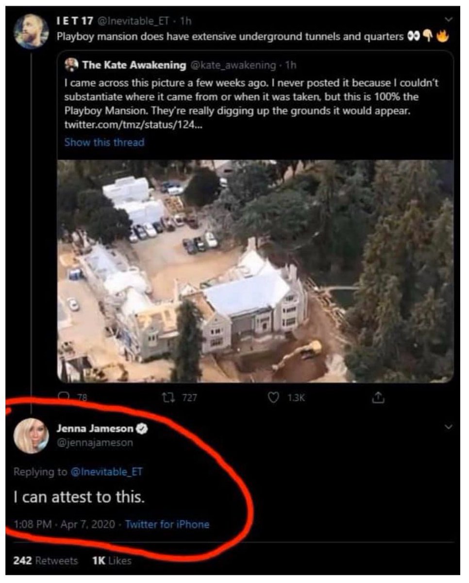 Coconut Crusader tweet media