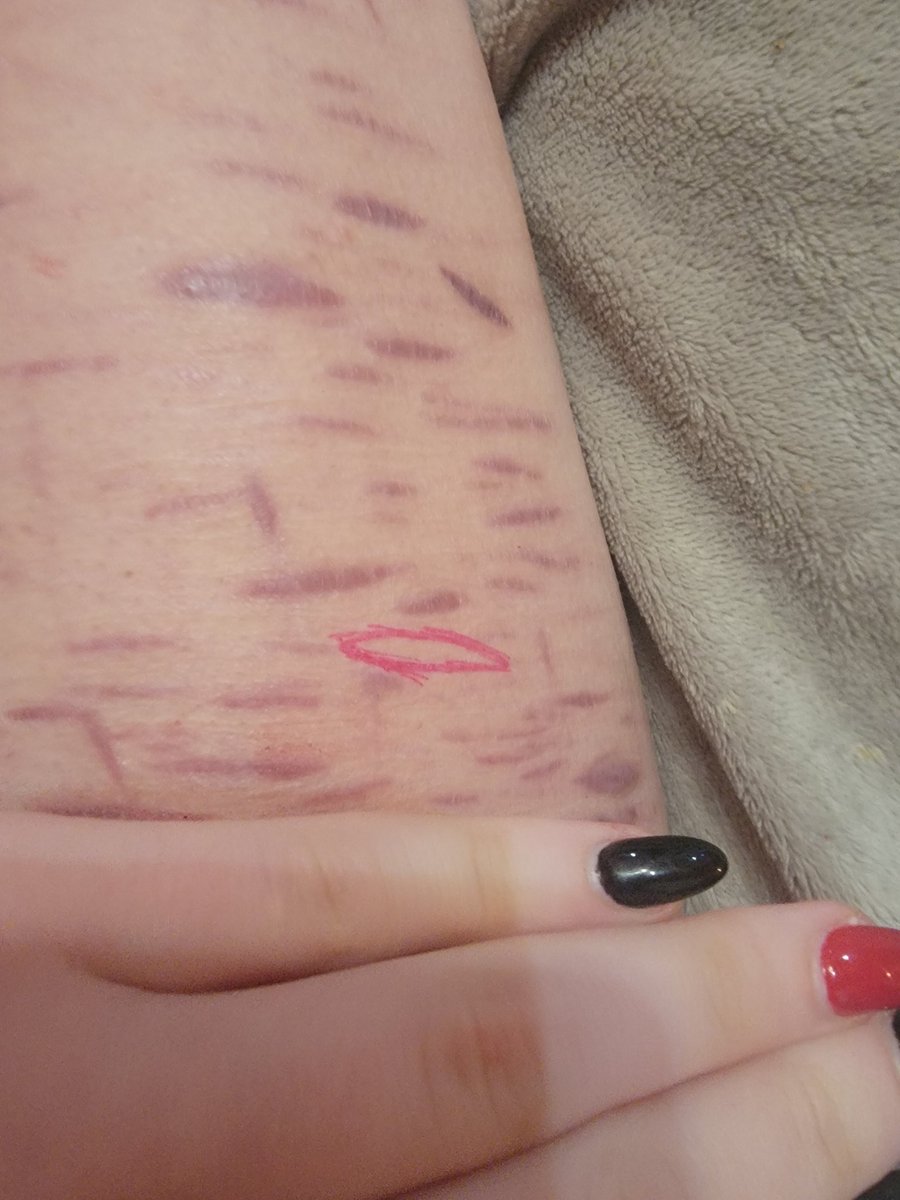 rui of shtwt tweet media