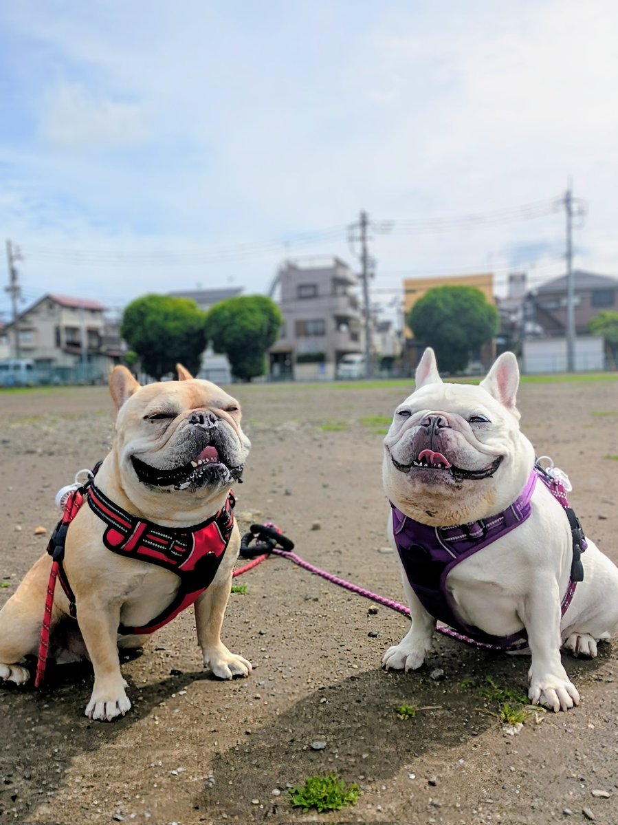 モント&マルス tweet media