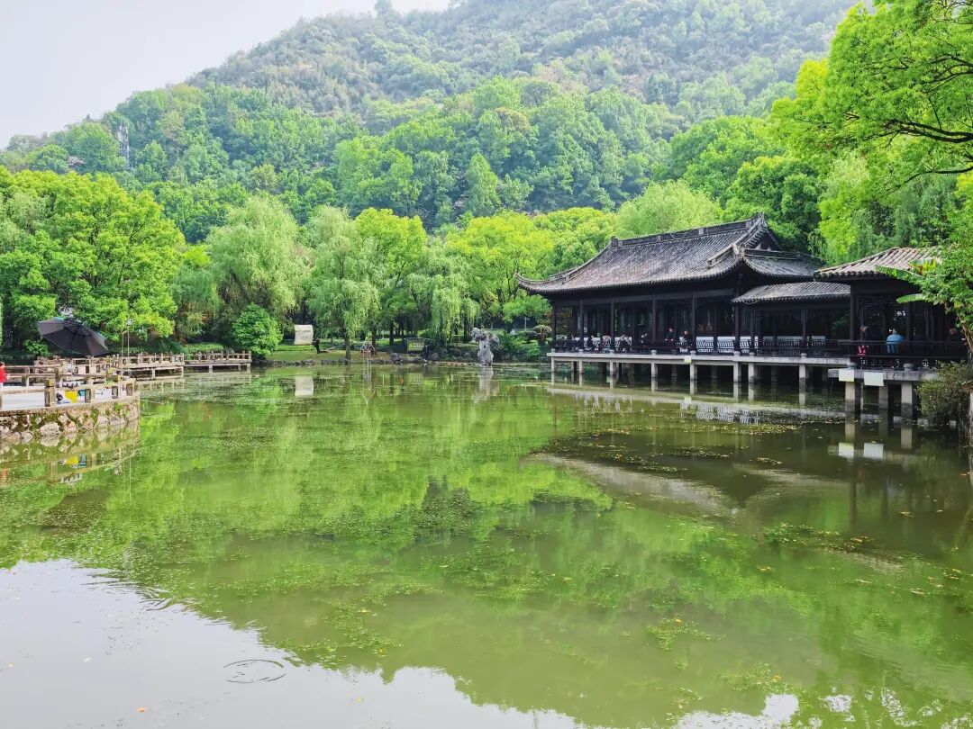 InJiaojiang tweet media