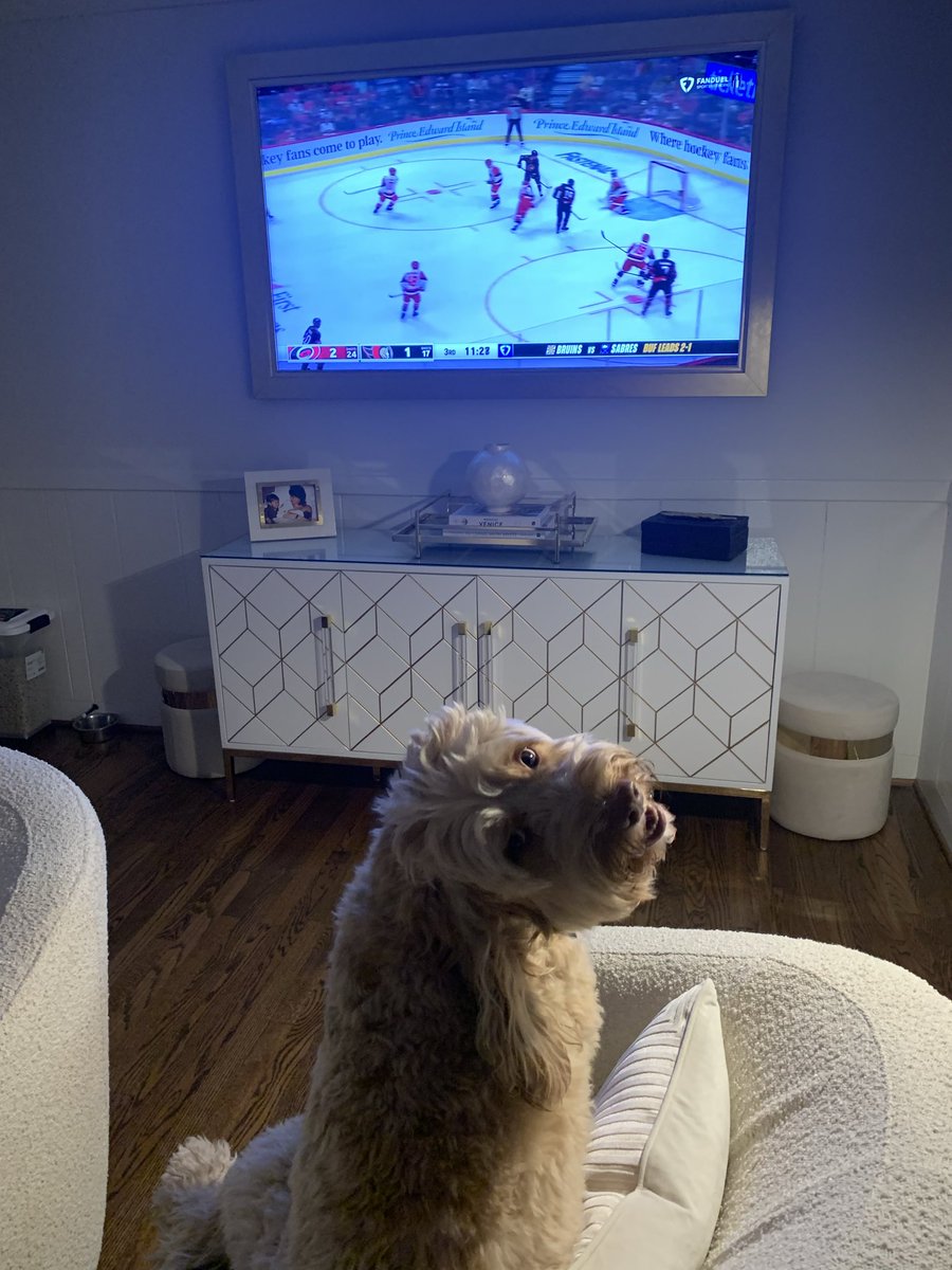 TrippTracy tweet media