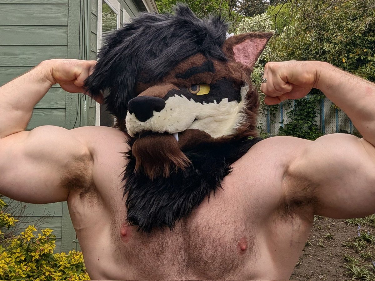 Lucky Wuff Coywoof tweet media