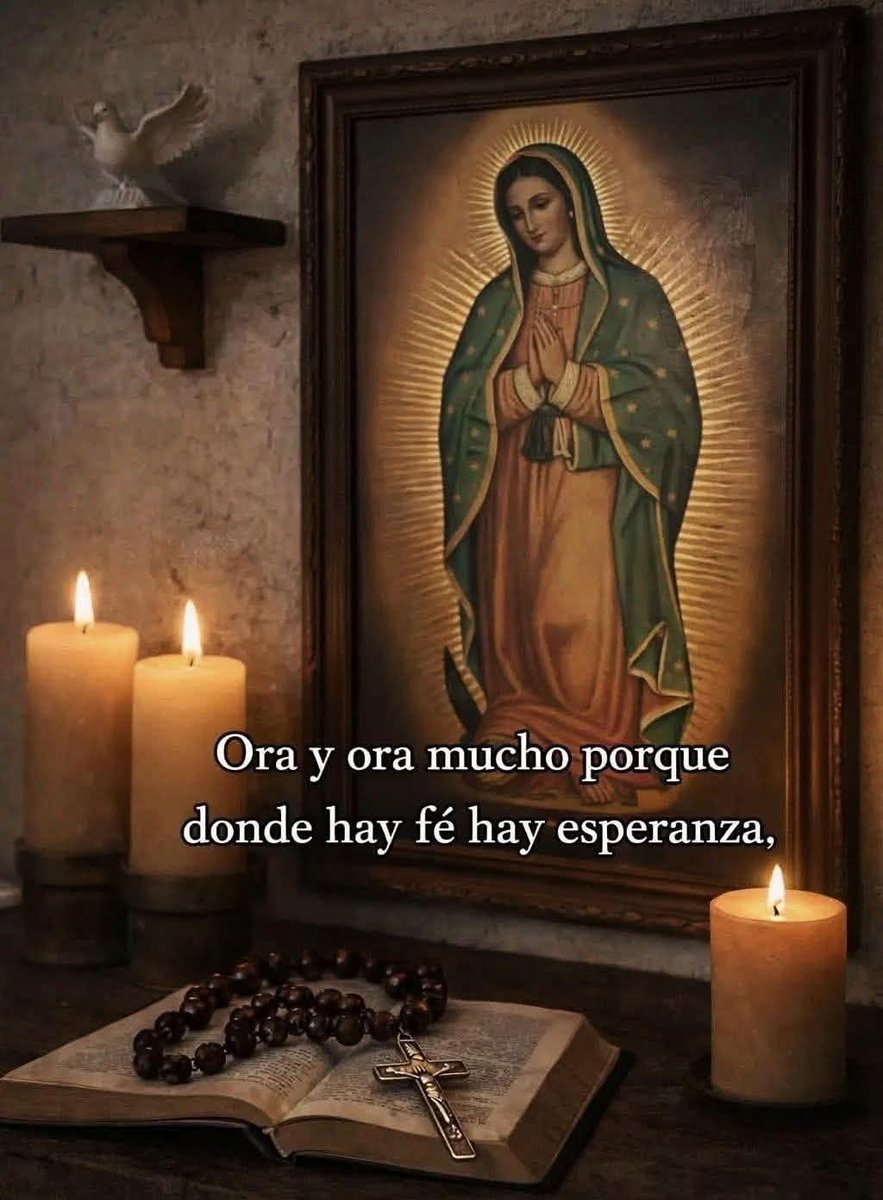 Danny 246 tweet media