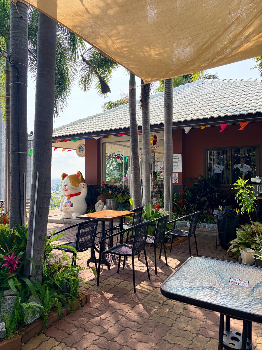 travelingman88's tweet image. Morning coffee with a view, I’ve always loved walking up to this beautiful coffee shop #Thailand #traveling #morningcoffee