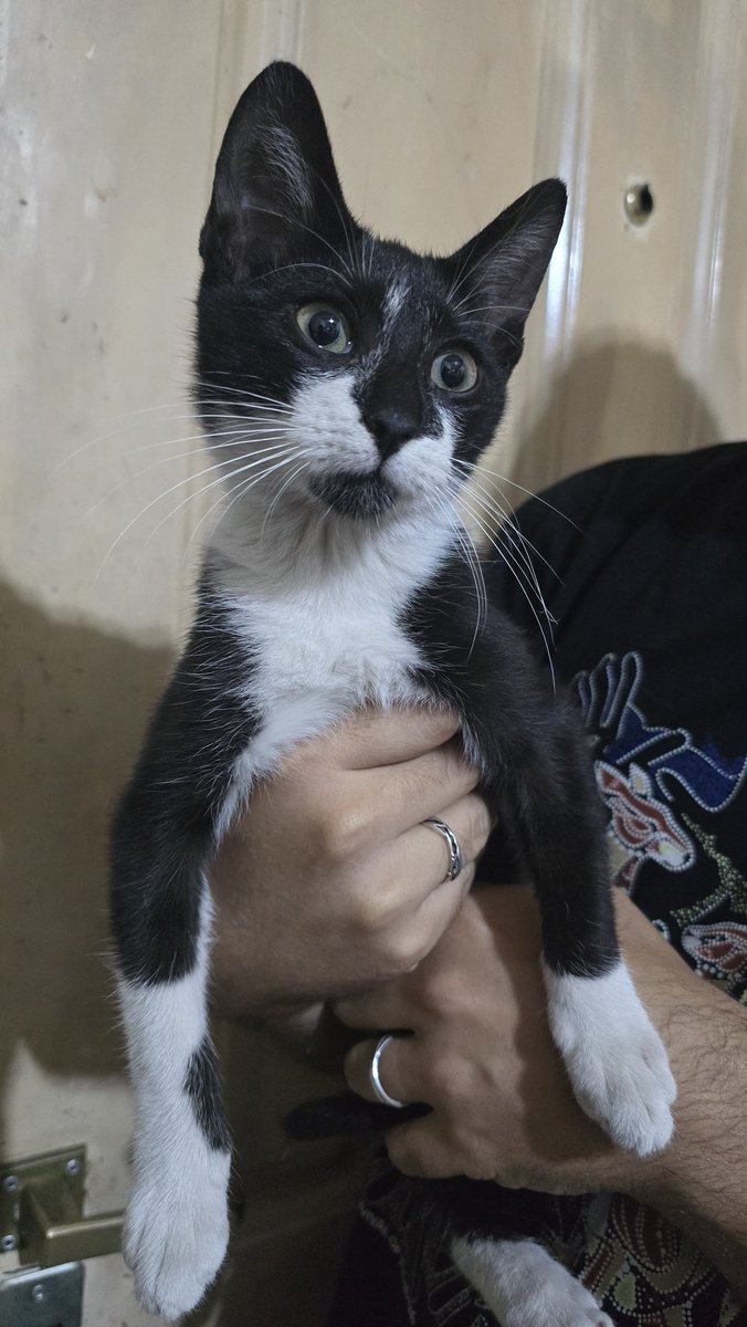 Andii♥ tweet media