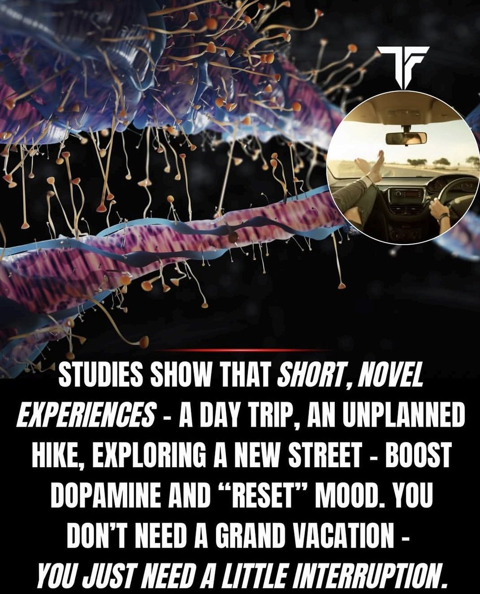 Neuron Powers 🧠 tweet media