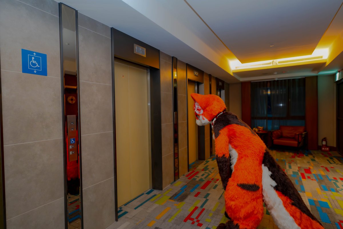モータム🔜InFurnity2026 tweet media