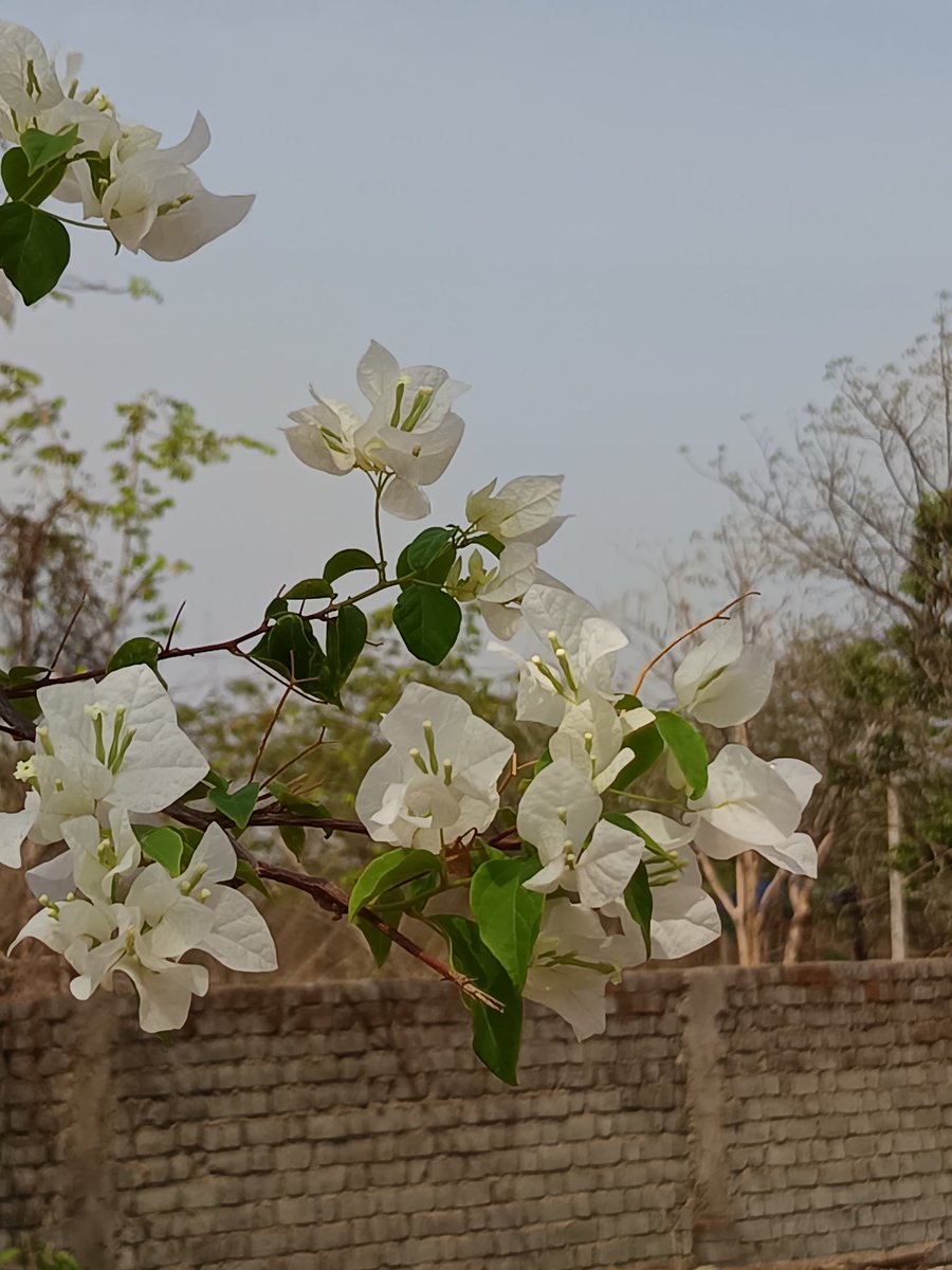 Nilesh Raichura 🦋 tweet media