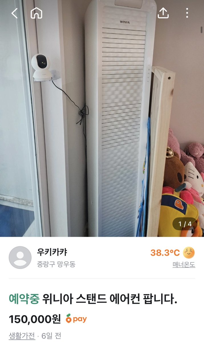 묘멘트쉼터(유기묘 아이들) tweet media