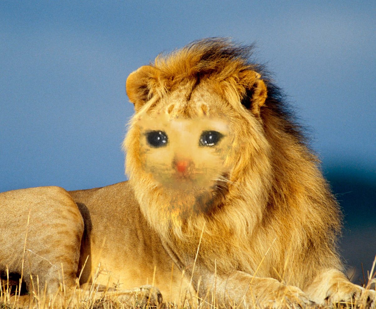 KingOfElfland's tweet image. Just finished watching Haibane Renmei #wow