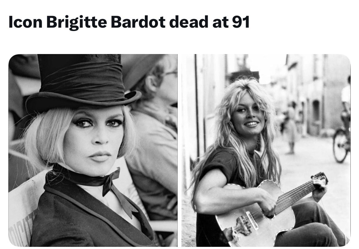 Sasha Aloha tweet media