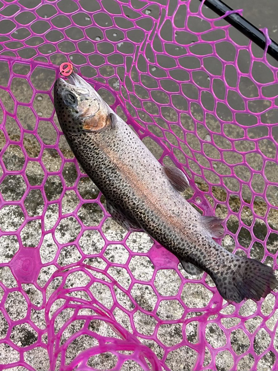 Leo5mo4's tweet photo. 山道に酔った🤮
今はご飯食べれるまでに回復❤️‍🩹
釣り楽しんでます🎣 https://t.co/9F6tlLNQJH