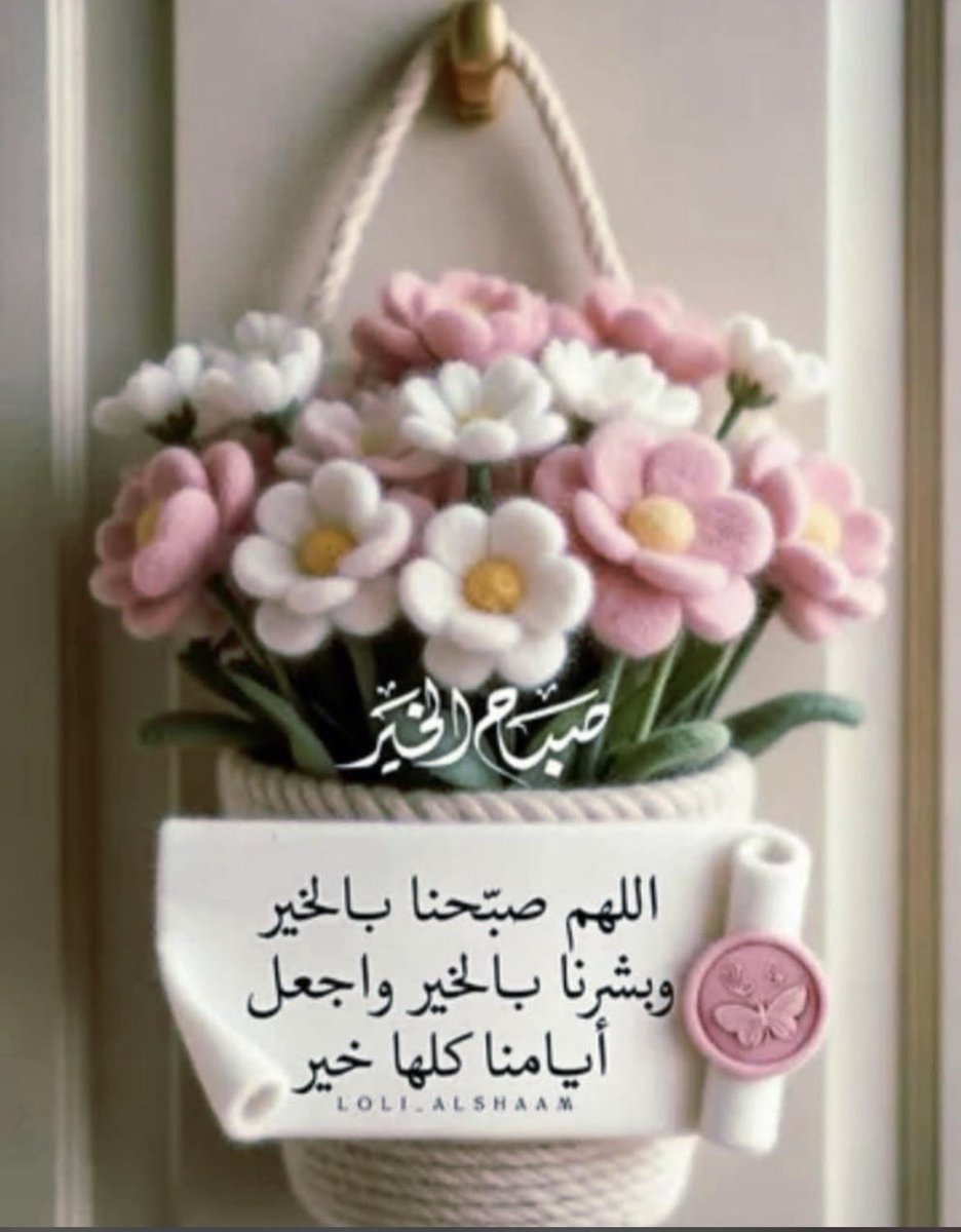 LadyRo tweet media