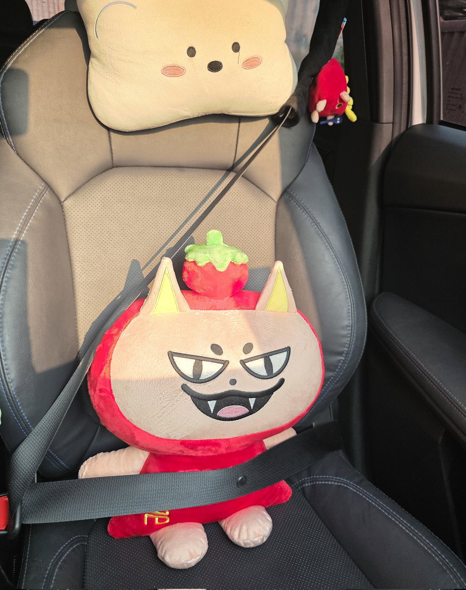 𐙚◟imnamepat 🧸♡ tweet media