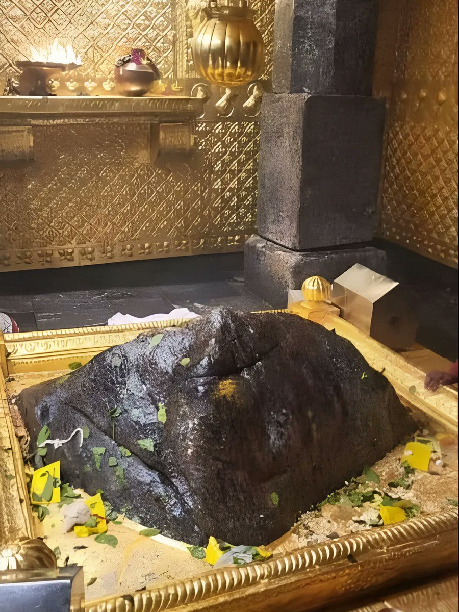 ShriAyodhya_'s tweet photo. ॐ नमः पार्वती पतये हर हर महादेव, जय बाबा केदारनाथ। https://t.co/YIpyMK6AV6