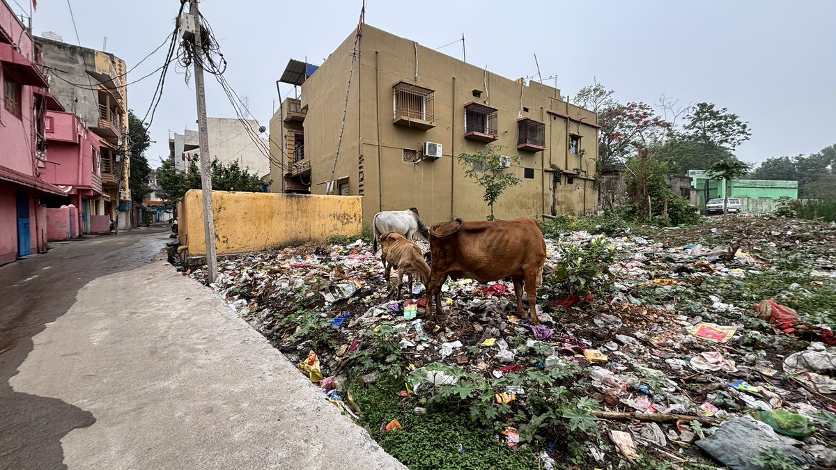 BijayDu52846273's tweet photo. Fed up with the dirt and garbage at my locality. The constant foul smell and rise in mosquitoes is affecting our health every day. Clean surroundings shouldn’t be a luxury. Cleanliness in our locality needs urgent attention @DCEastSinghbhum @MangoNagar @JharkhandCMO @JmmJharkhand https://t.co/8Qiid97OGt