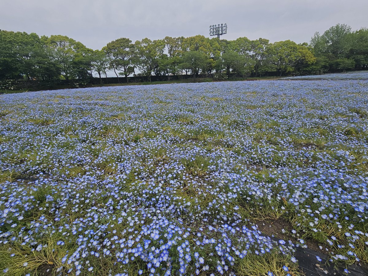 じゅんꪔ̤̮*.˚♡ tweet media