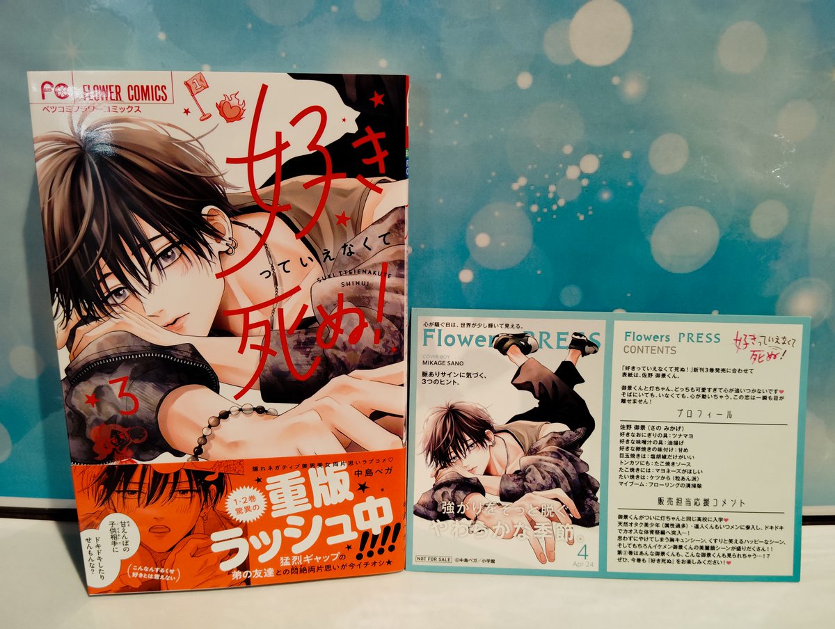 C&K It's CK TSUTAYA限定特典DVD CKSTYLE 特典DVD 早期予約特典シリアルコード付き】【TSUTAYA限定】【先着特典付・予約