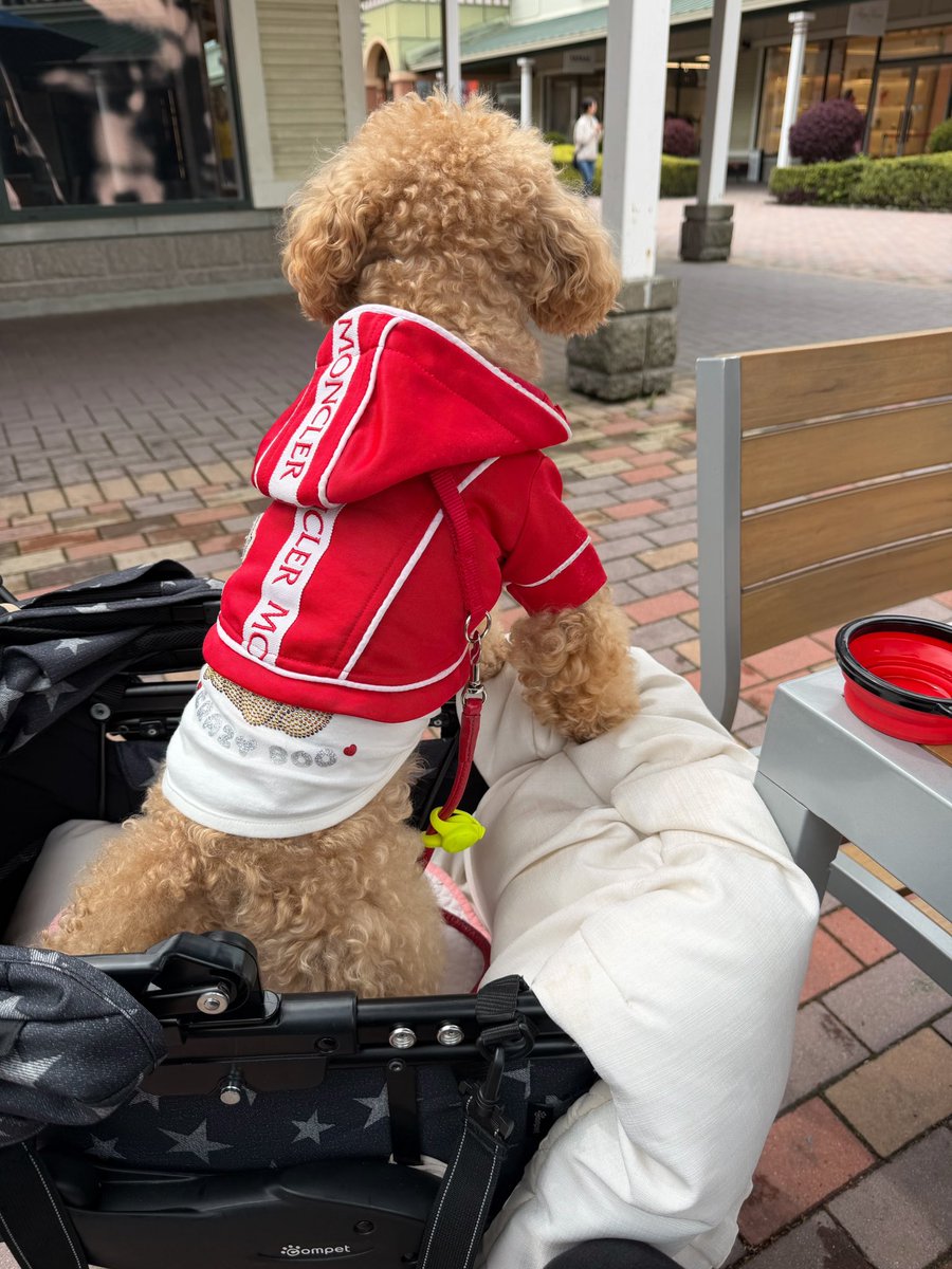 pokermax tweet media