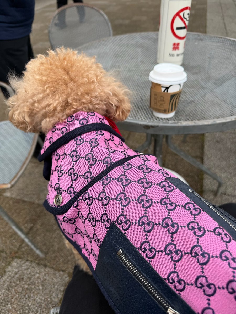 pokermax tweet media