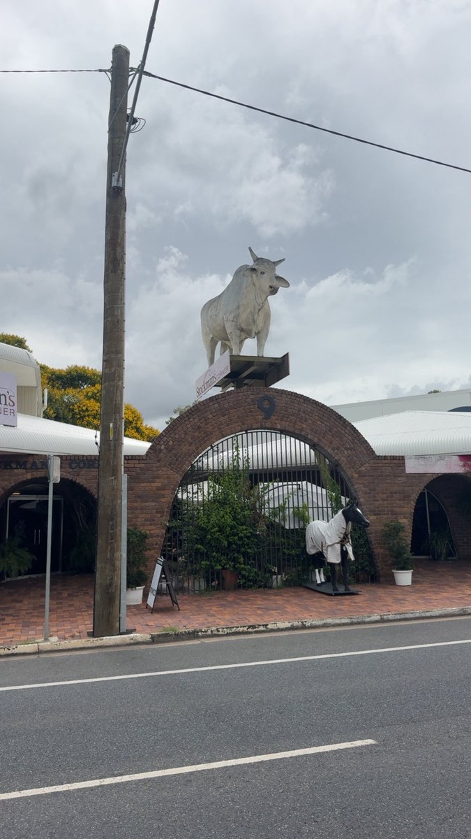 Royale6666's tweet photo. #northqueensland #january2026 #roadtrip #bowen #delta #rockhampton https://t.co/oJEtxLkT5O