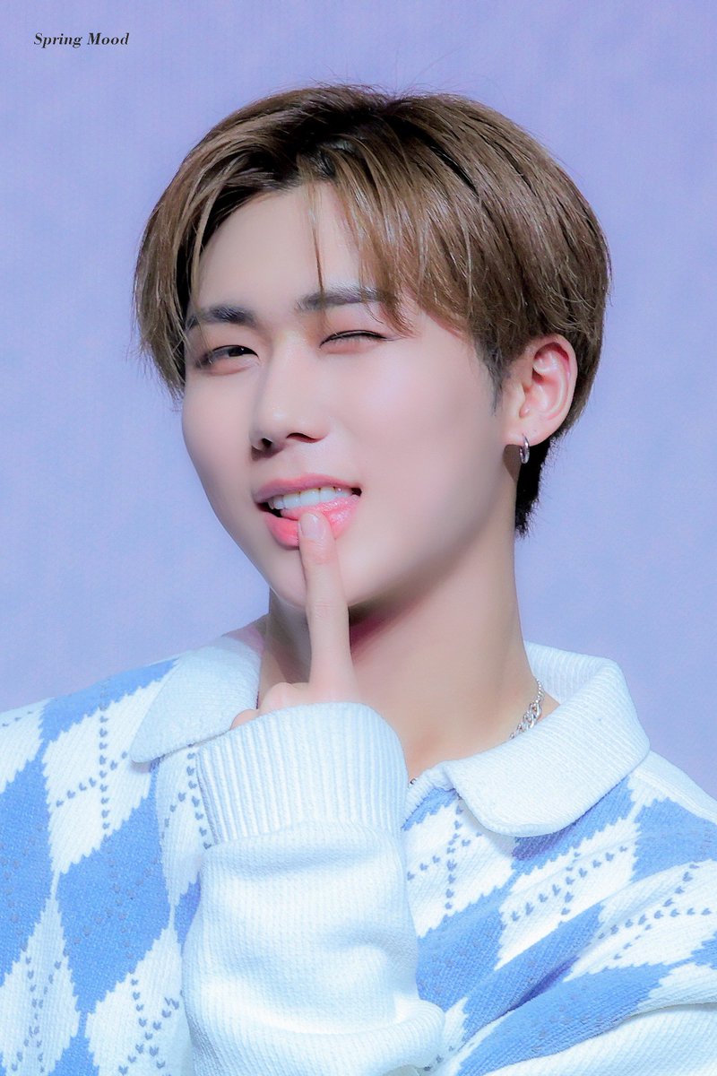 ๐๐ฉ๐ซ๐ข๐ง๐ ๐๐จ๐จ๐ tweet media