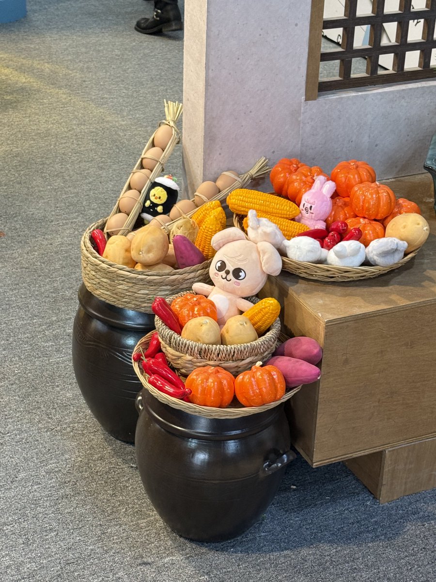 교자🥟 tweet media