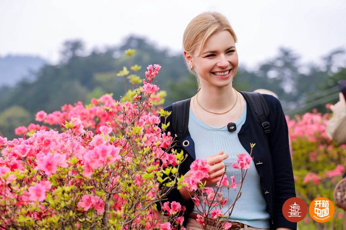 hellohubei_'s tweet photo. Azaleas are in full bloom at Guifeng Mountain, #Hubei province. ๐บ
Spring is everywhere โ come see it for yourself!
#ChinaTravel #fyp #China #nature #HubeiWonders #SpringInHubei #SpringByYangtze #BeautifulChina #Flower https://t.co/nonD4DCq8y