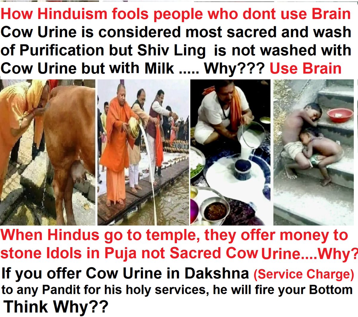 Zakiya Sultana tweet media