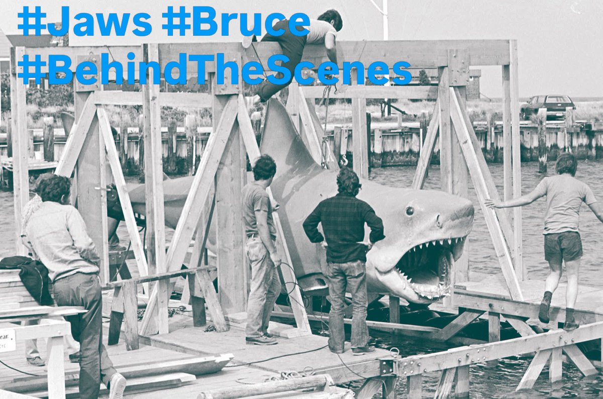 David Burch tweet media