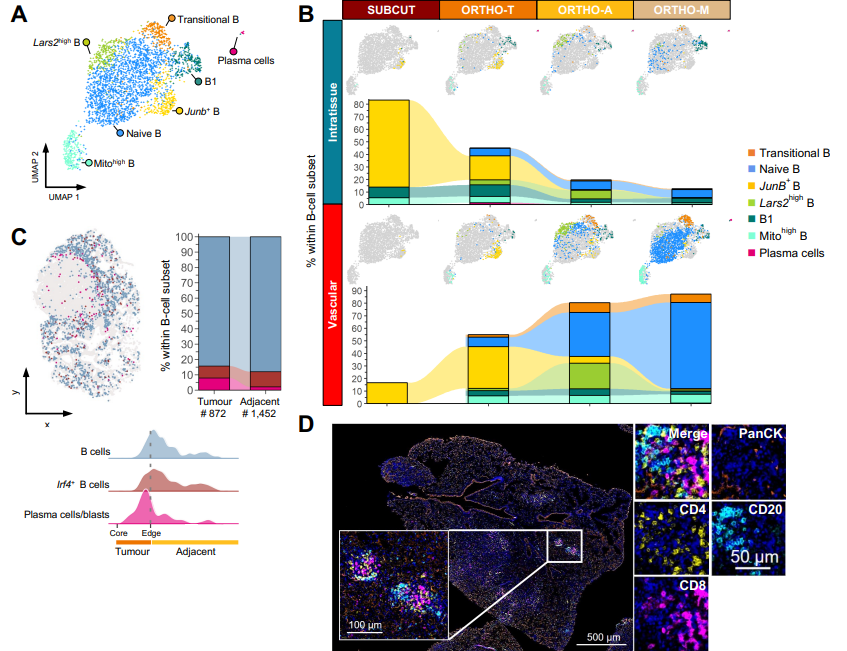 Waggoner Lab tweet media