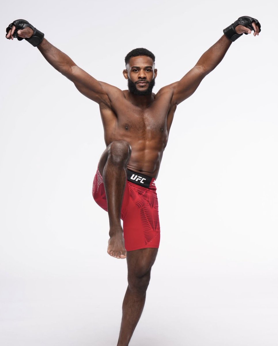 Chicken King MMA tweet media