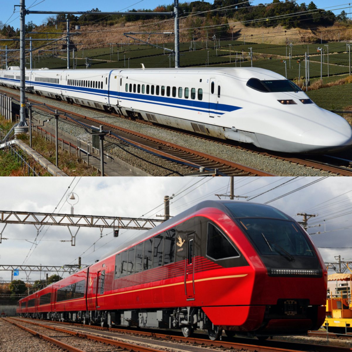 Sarah ★ セーラ😈✨ tweet media