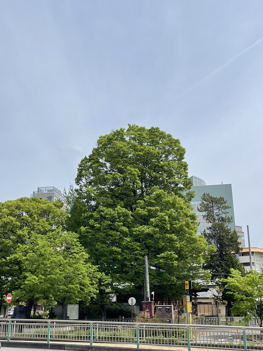 倉石竜也 シニア向けスマホ・パソコン教室みっぷす tweet media