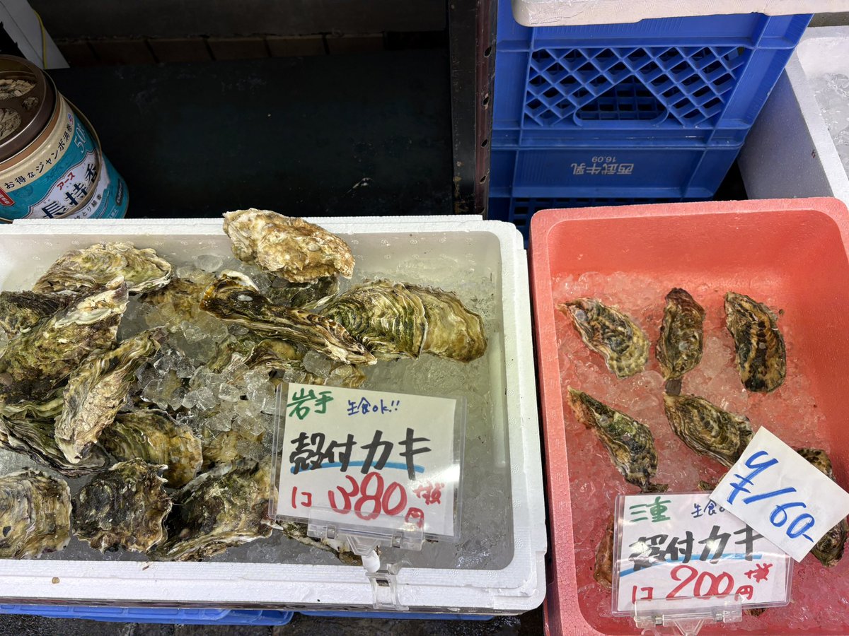 本店】武蔵境おさかな家さん南口店 (@MOsakanayasan) on X