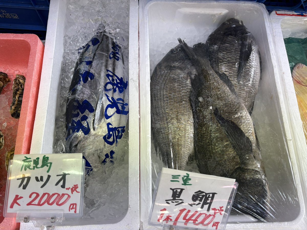 本店】武蔵境おさかな家さん南口店 (@MOsakanayasan) on X