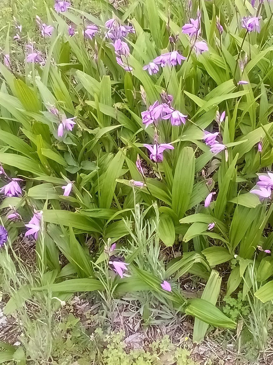 skyscraper185 tweet media