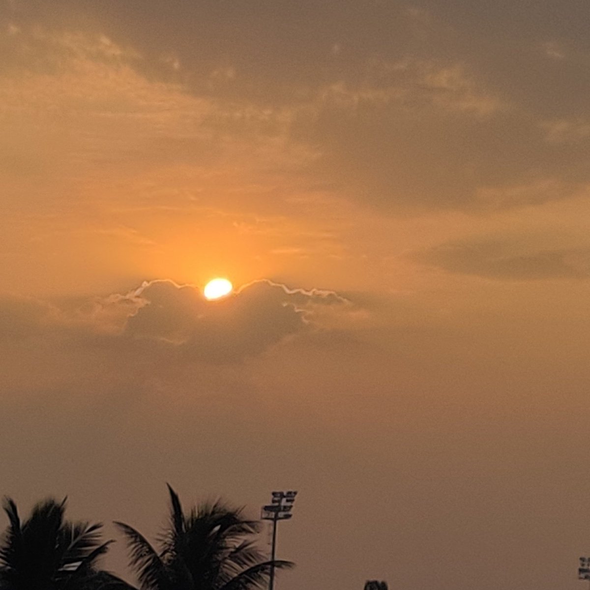 Nutan Barve tweet media