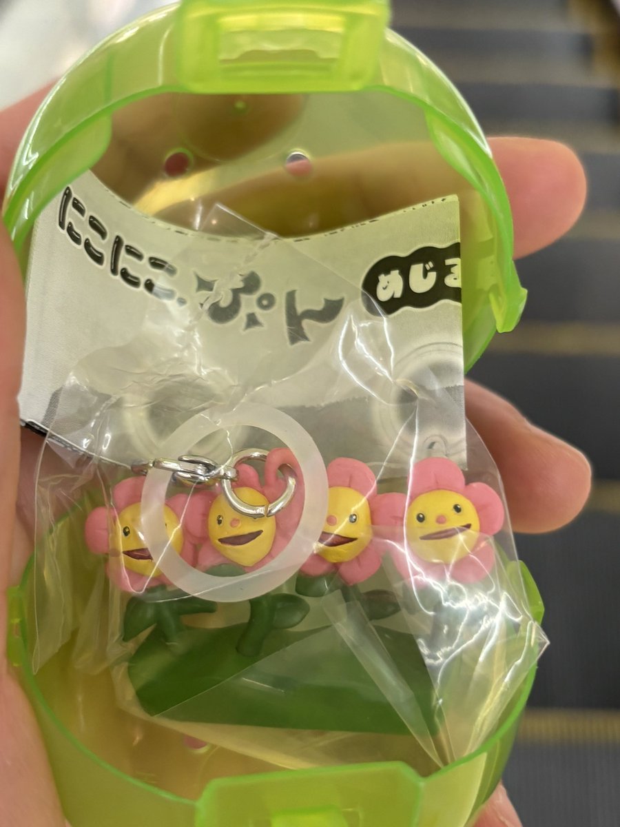 堀 知歩 tweet media