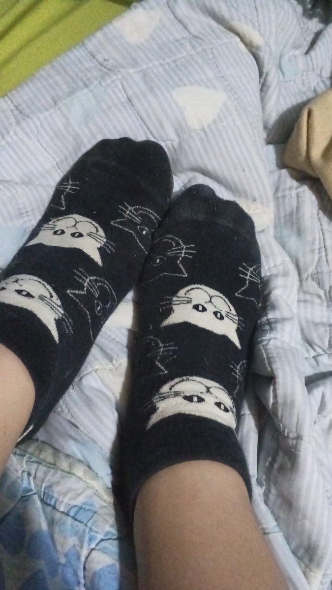 WeekndThe77208's tweet photo. Medias de gatitos #feetfetısh #feetِ https://t.co/x5eobKm4AI