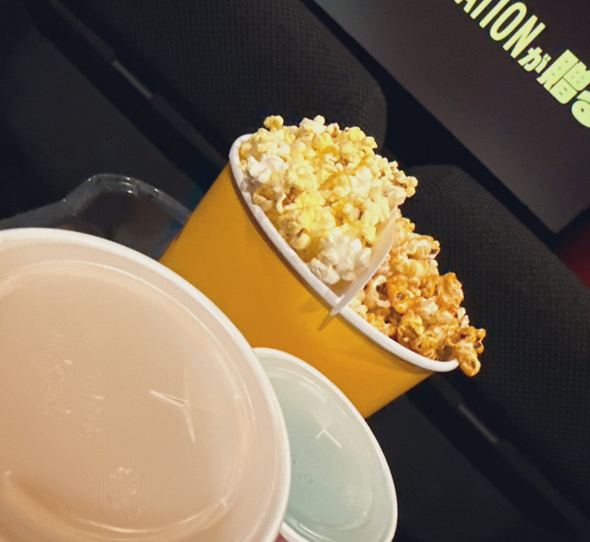 みゅんこ tweet media