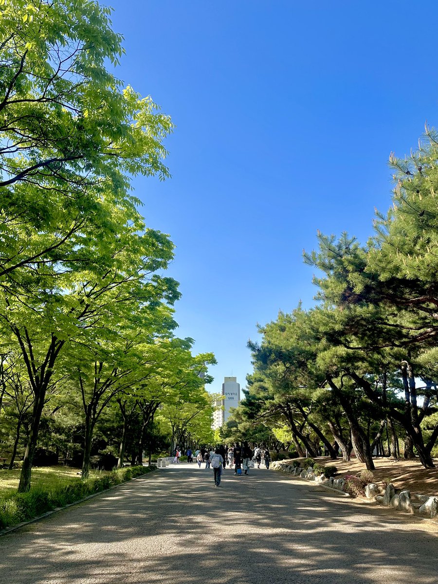 yuha01___'s tweet photo. 登校する学生たち
散歩中の子犬
そして私！

朝の公園散歩はとても楽しい (〜￣▽￣)〜 https://t.co/tUkaosWCX4