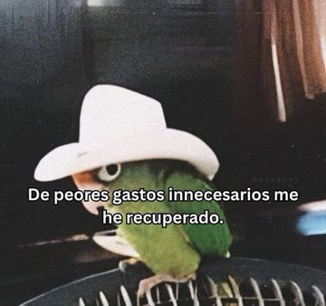 Pensamientos tweet media
