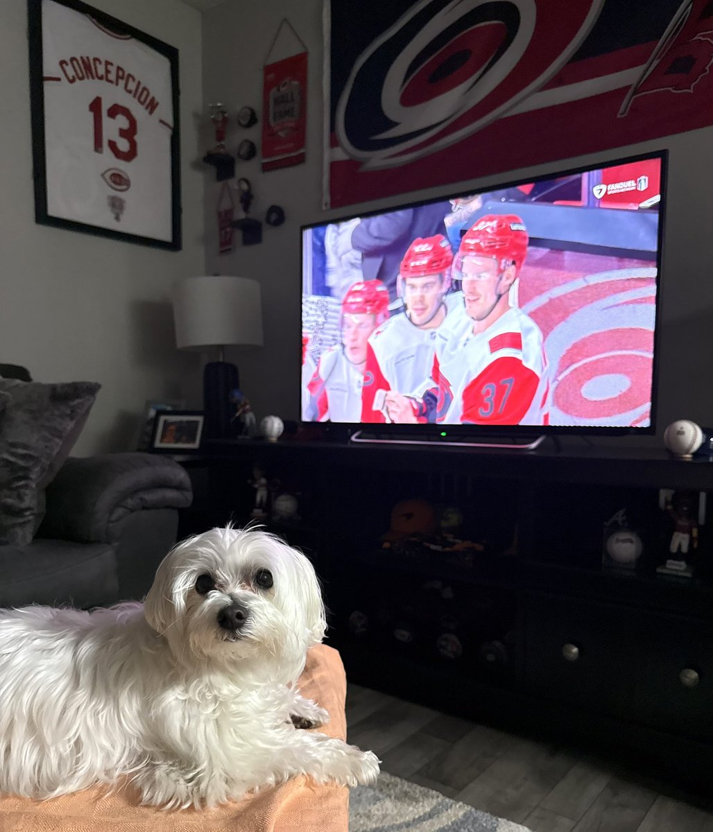 z - Ricky tweet media