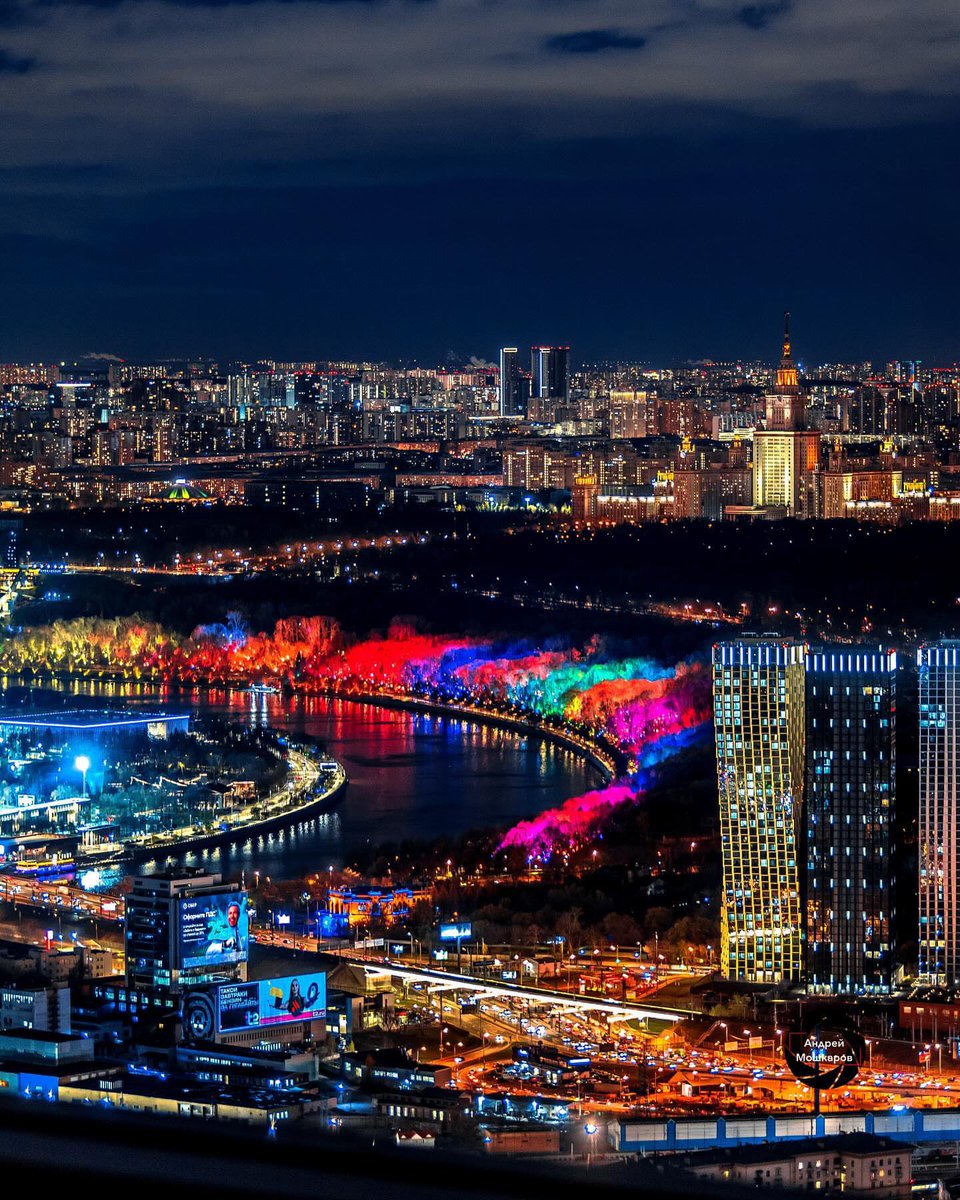 Pato Bonato tweet media